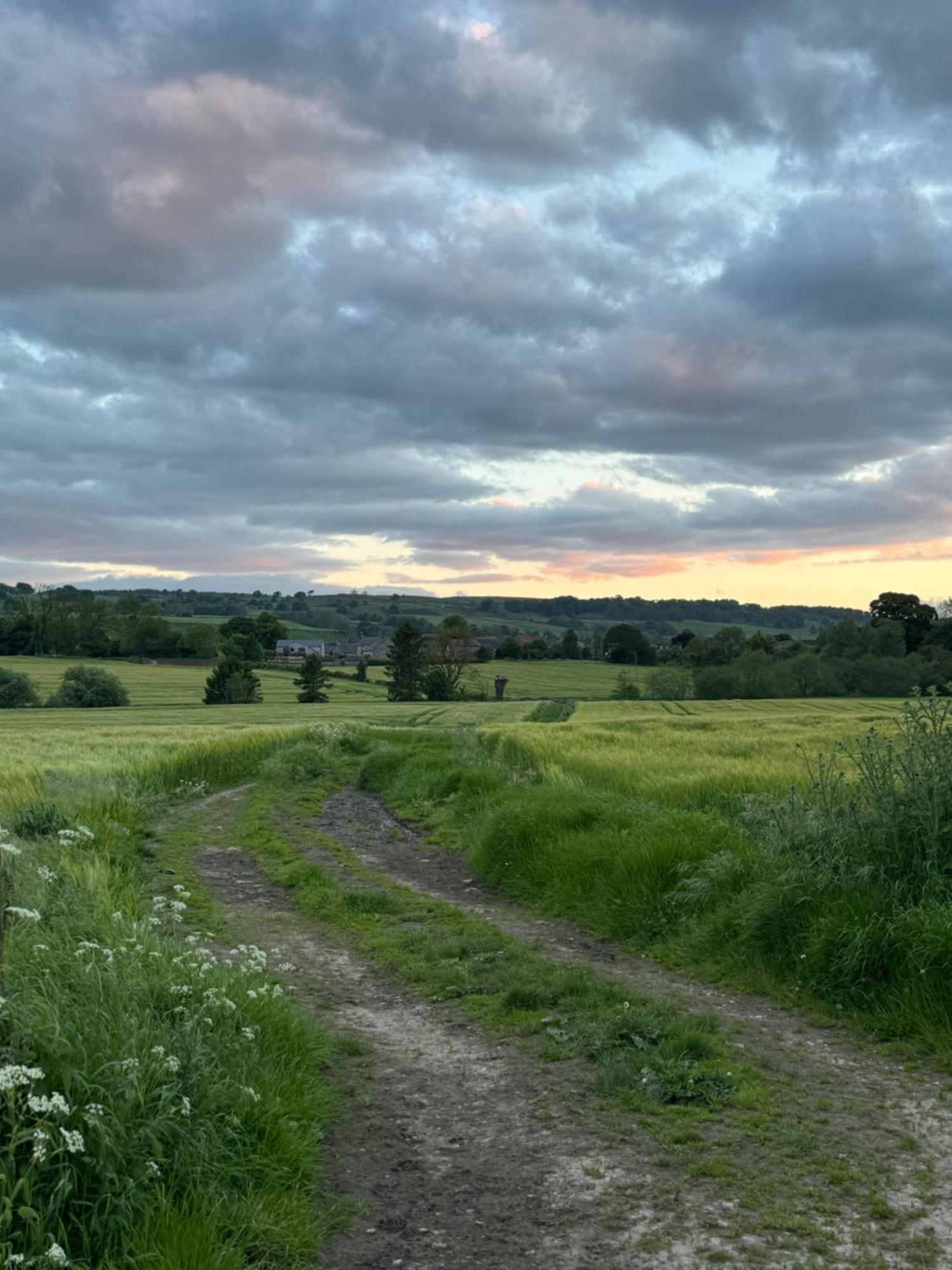Chestnut Cottage Ravensworth Richmond  Esterno foto